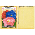 Antique Series Petunia Seeds - 1 Color/2 Side